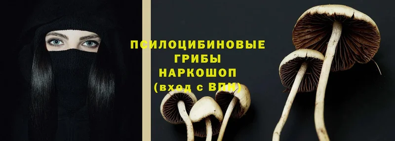 Галлюциногенные грибы Psilocybine cubensis  Усолье-Сибирское 